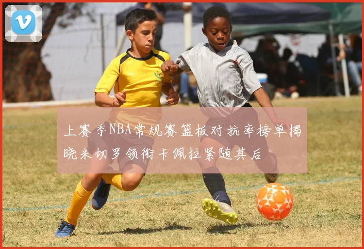 上赛季NBA常规赛篮板对抗率榜单揭晓米切罗领衔卡佩拉紧随其后